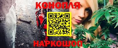 стафф Заводоуковск