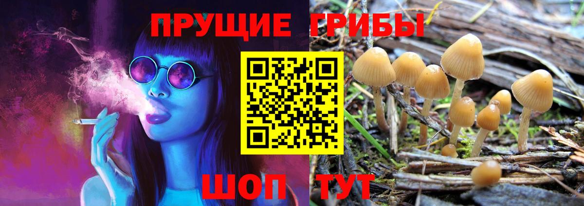 Большой Камень  Псилоцибиновые грибы Magic Shrooms  Вход с VPN 